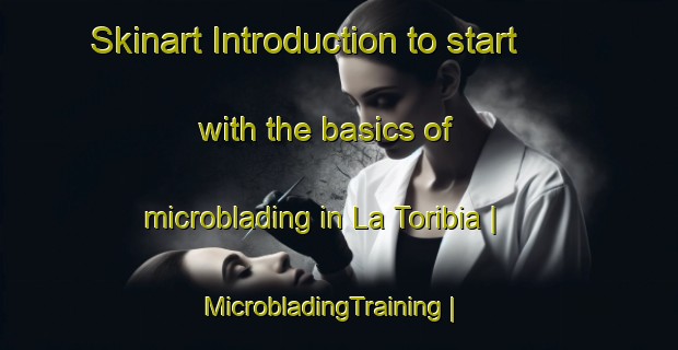 Skinart Introduction to start with the basics of microblading in La Toribia | MicrobladingTraining | MicrobladingClasses | SkinartTraining-Mexico